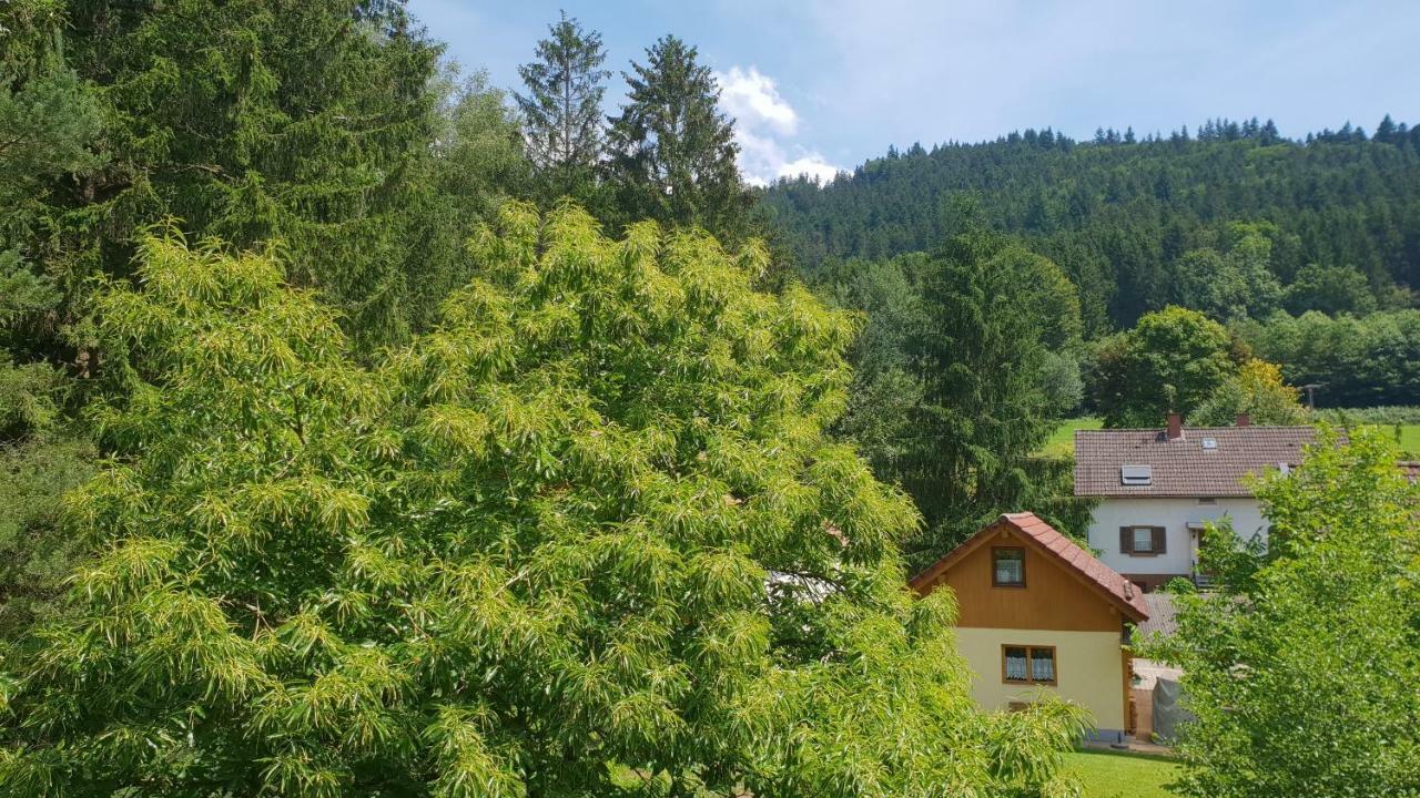 Silberkoenig Schwarzwald Hotel & Restaurant Ringhotel Gutach im Breisgau Eksteriør billede
