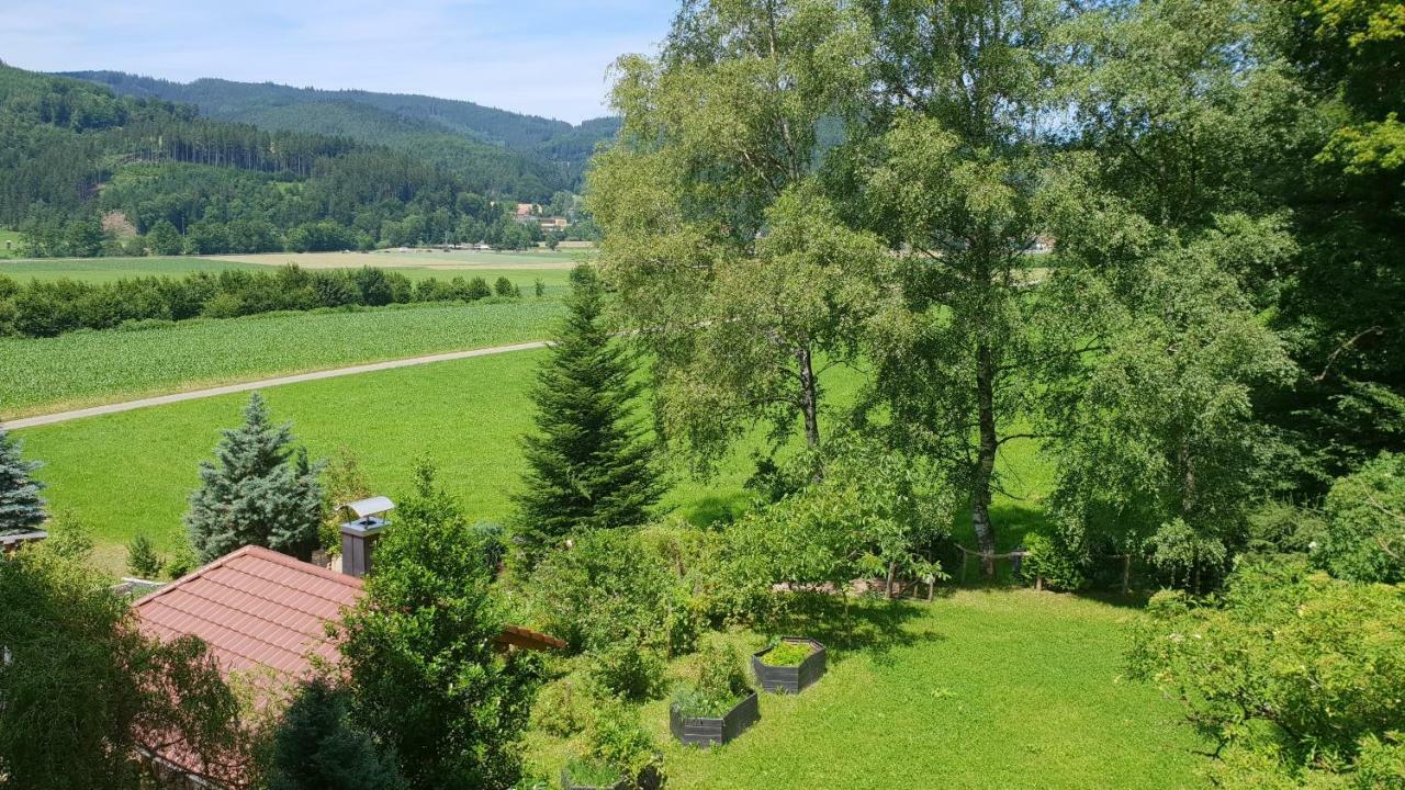 Silberkoenig Schwarzwald Hotel & Restaurant Ringhotel Gutach im Breisgau Eksteriør billede