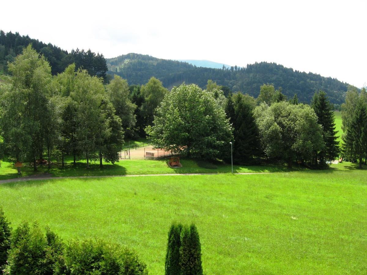 Silberkoenig Schwarzwald Hotel & Restaurant Ringhotel Gutach im Breisgau Eksteriør billede